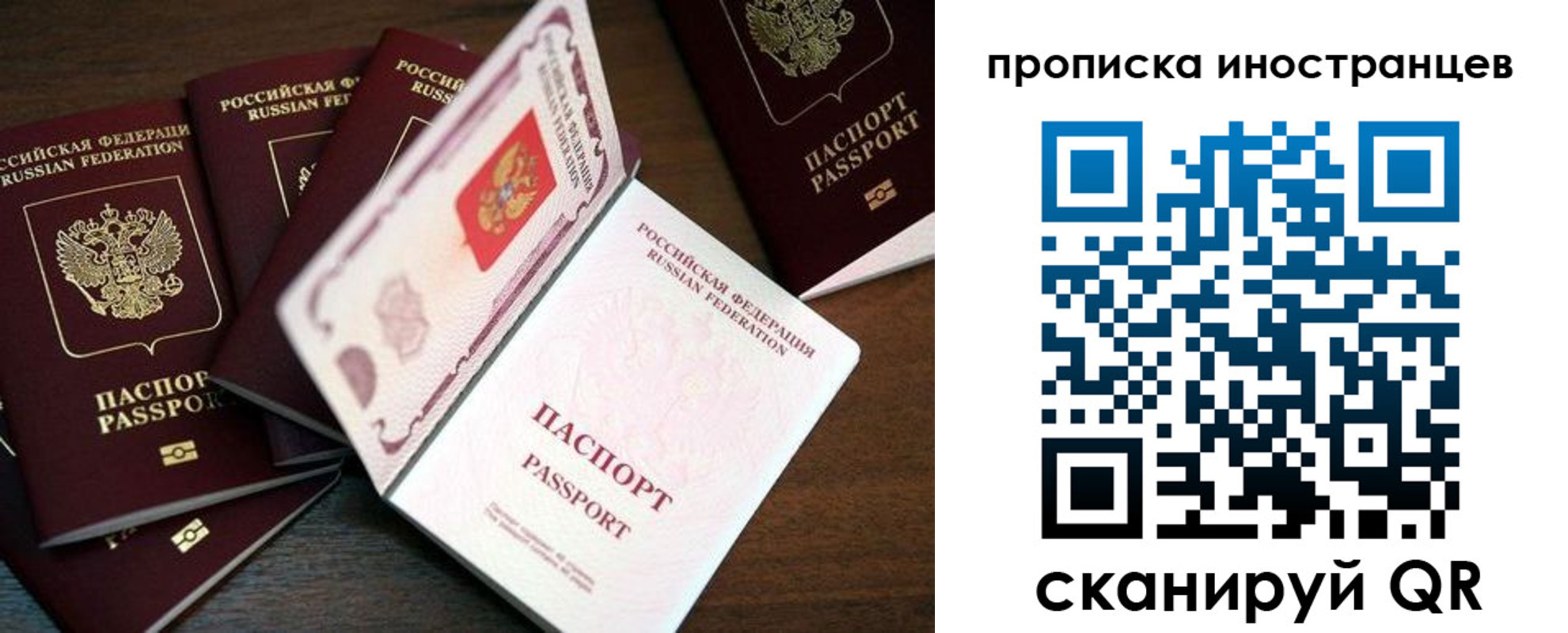 временная регистрация гарантия в ЕАО