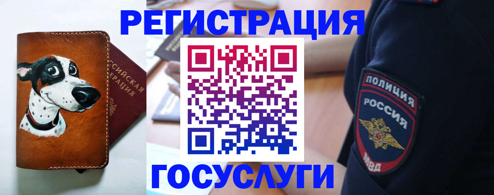 временная регистрация в квартире в ЕАО